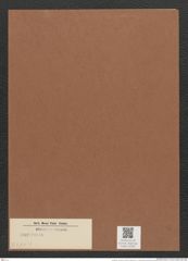 Surirella sp. (de-Toni-Nr.: Genus 53, Species 2271 ?) Zeichnungen Sammlung Grunow Mappe 02562 (Herbarium_W_Grunow_drawings_Folder_02562)